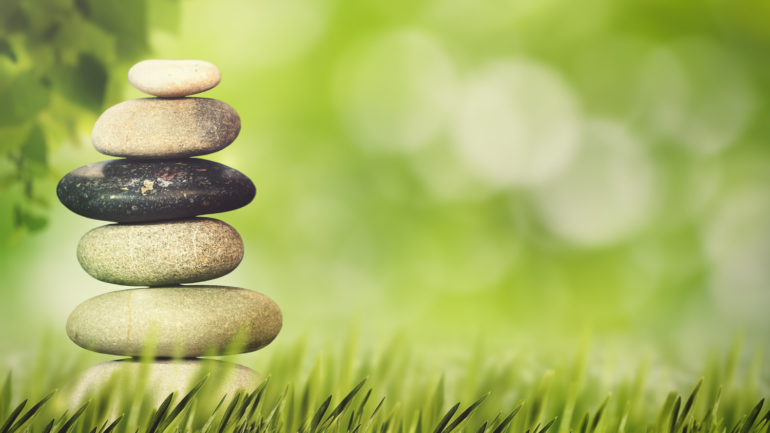 What is the Endocannabinoid System?