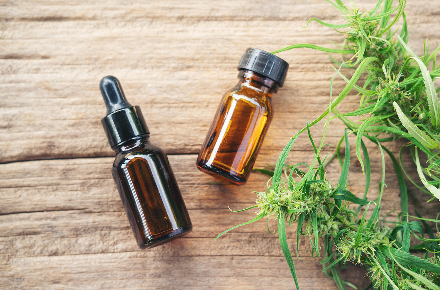 CBD vs. THC - What's the Difference?