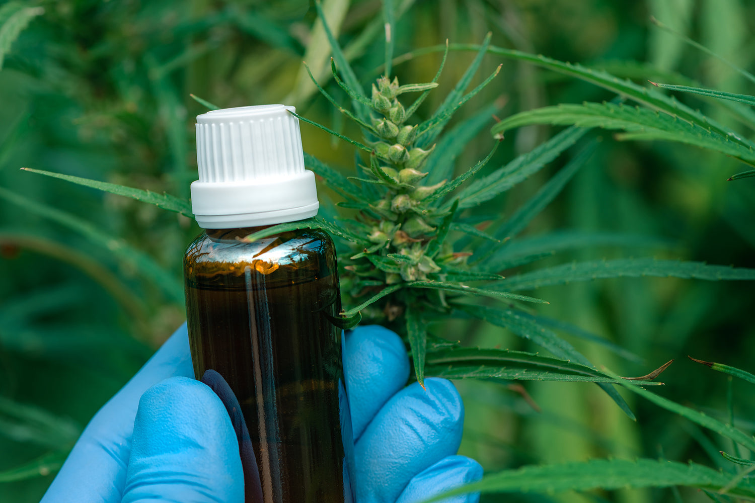 What is Full-Spectrum CBD?