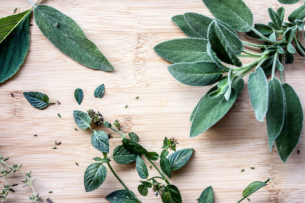 What is Menthol?