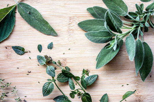 What is Menthol?
