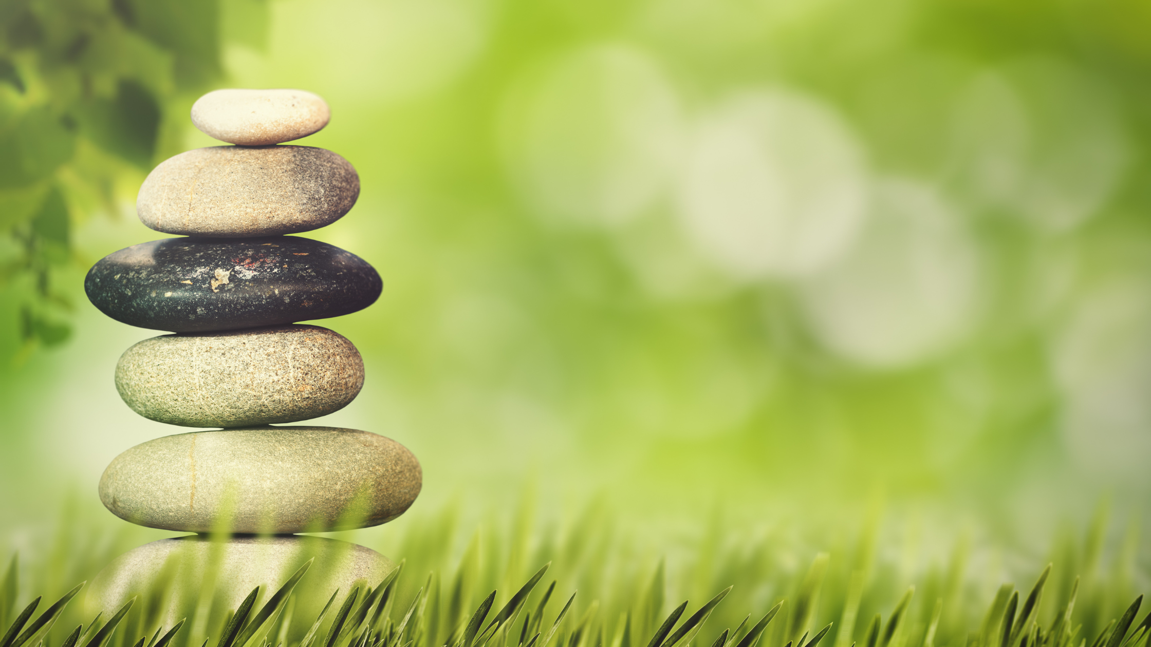What is the Endocannabinoid System?