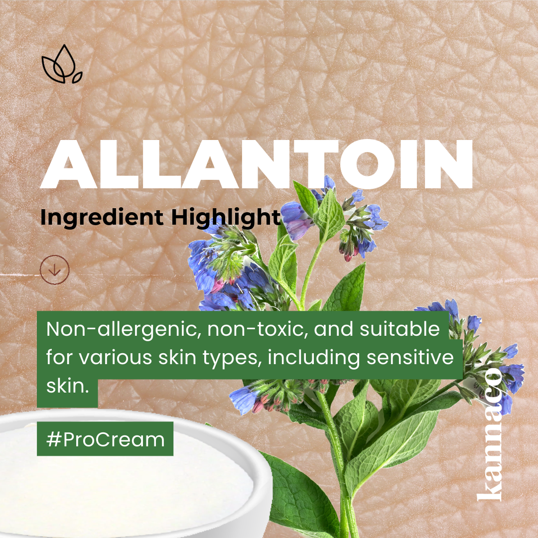 Ingredient Highlight: Allantoin - 6 Reasons for Chiropractors and Aging Adults
