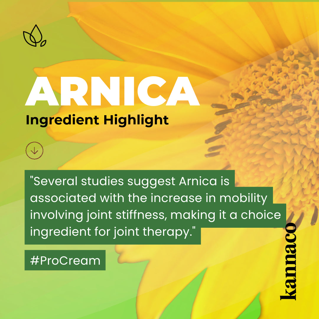 Ingredient Highlight: Arnica Extract | Topical CBD for Chiropractors ...