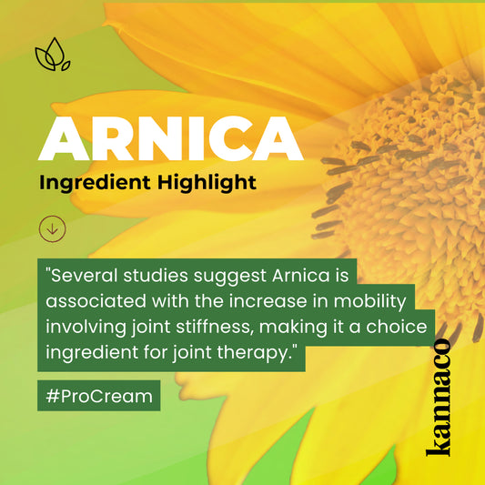 Ingredient Highlight: Arnica Extract