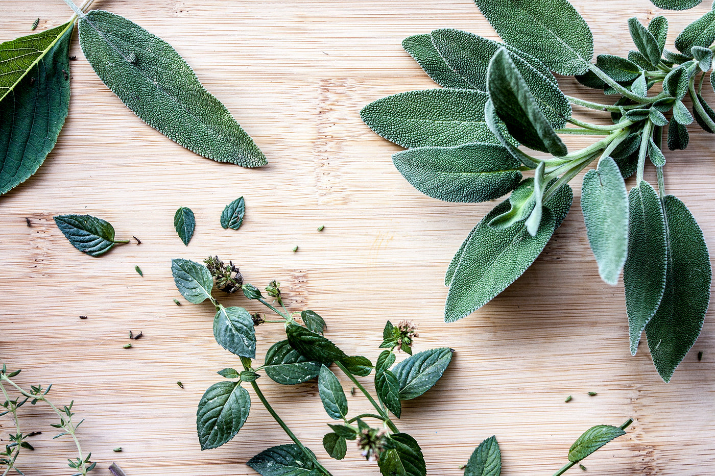 What is Menthol?